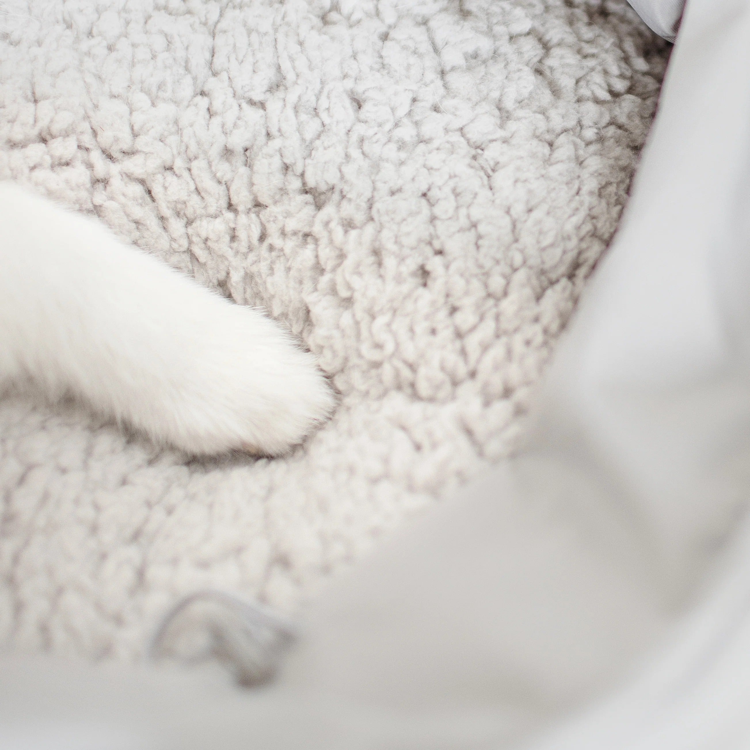 Lambwolf Collective - Olla Petite Pet Carrycot