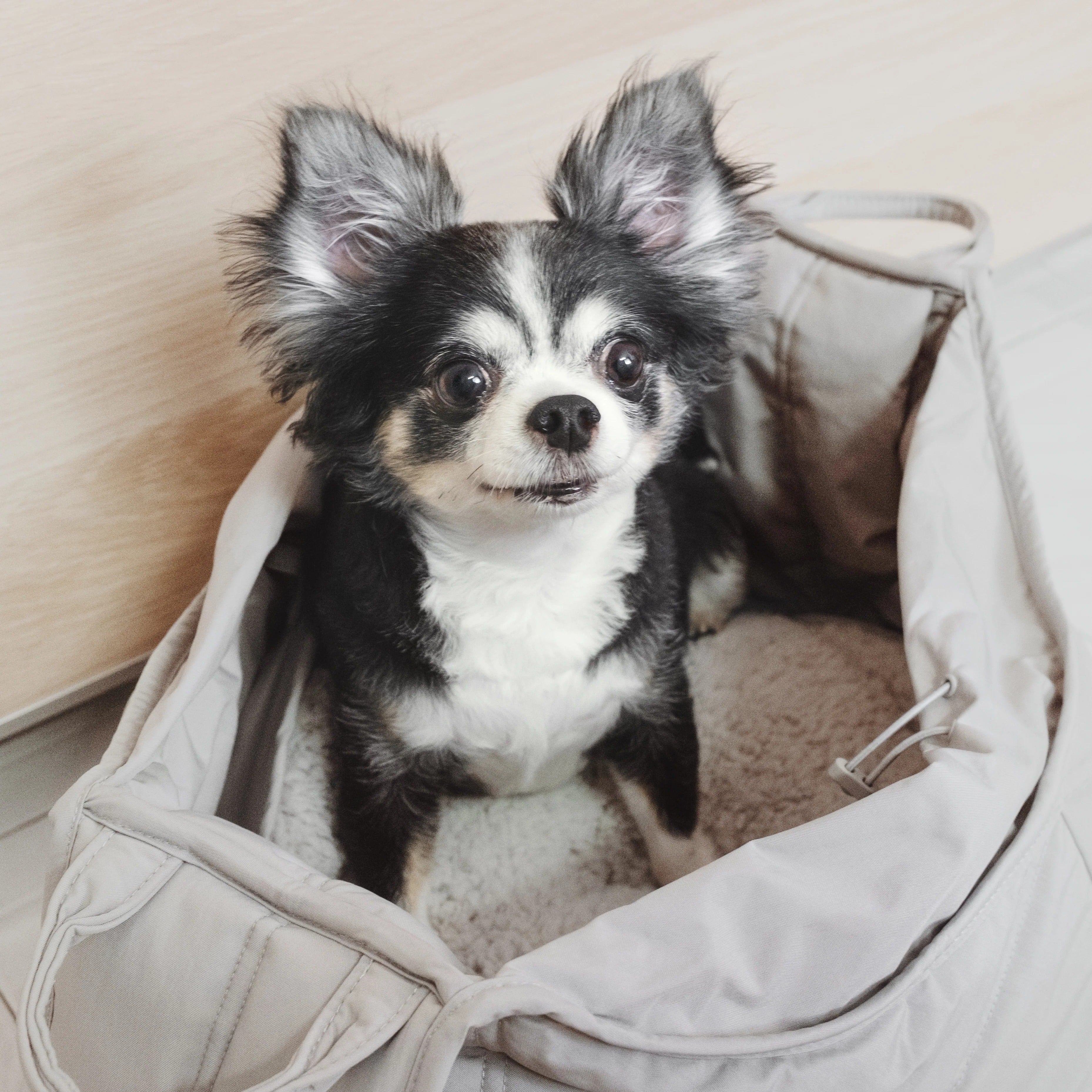 Lambwolf Collective - Olla Petite Pet Carrycot