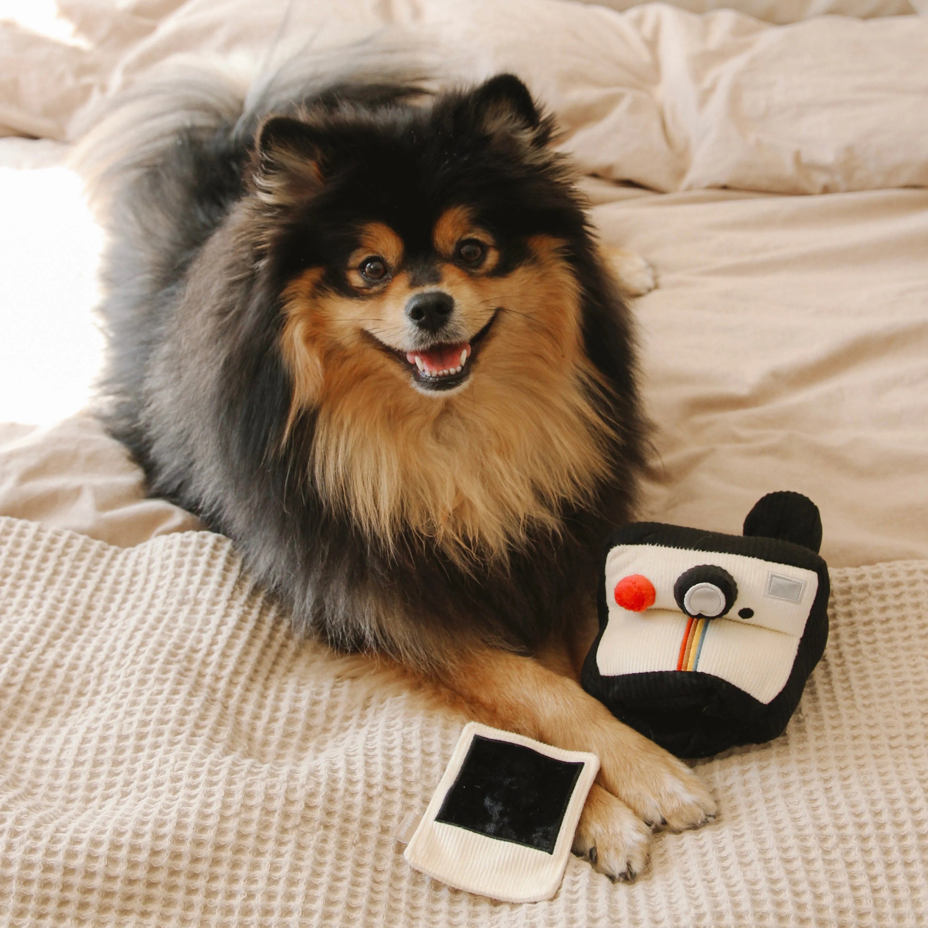 Lambwolf Collective - Instant Camera