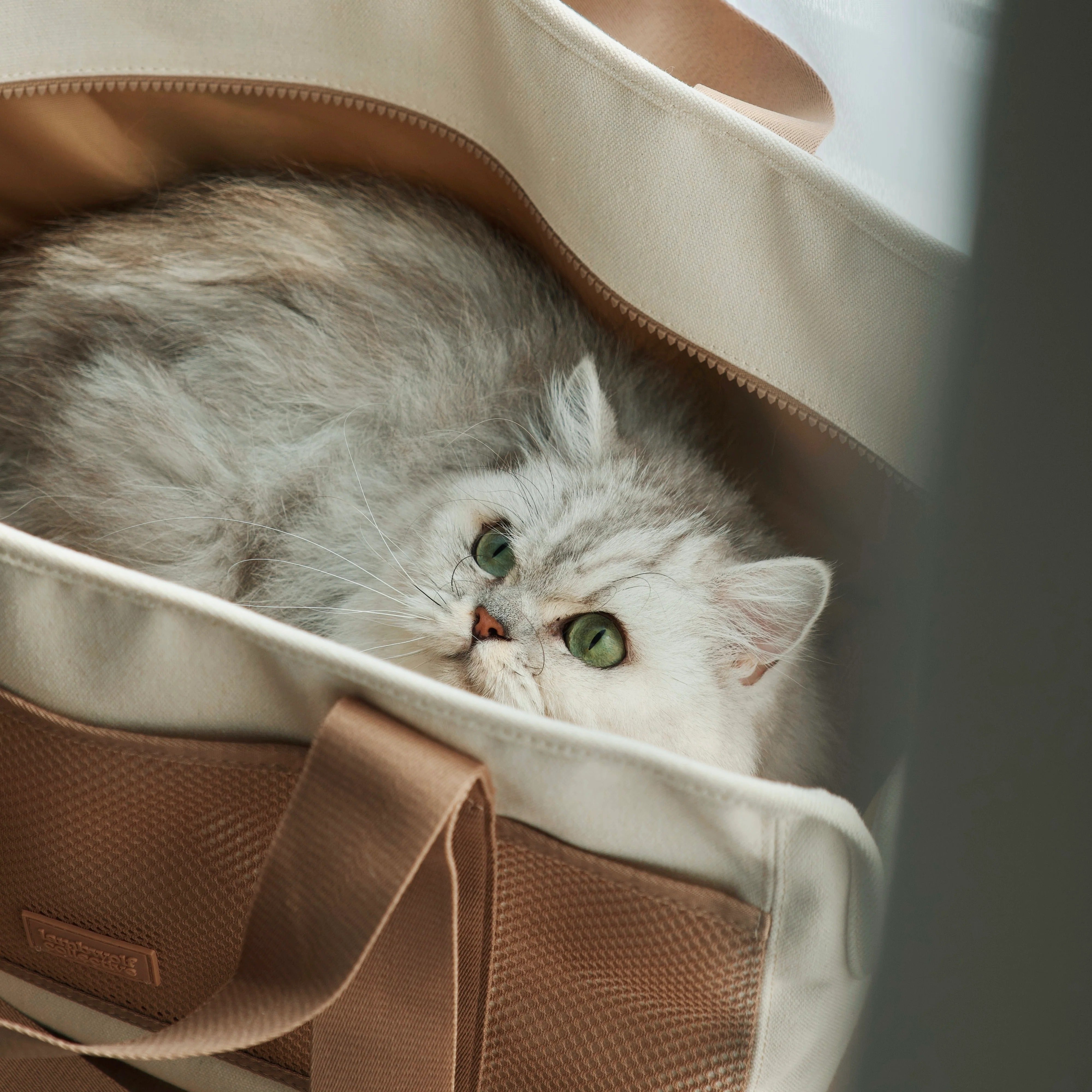 Lambwolf Collective - Subway Pet Carrier