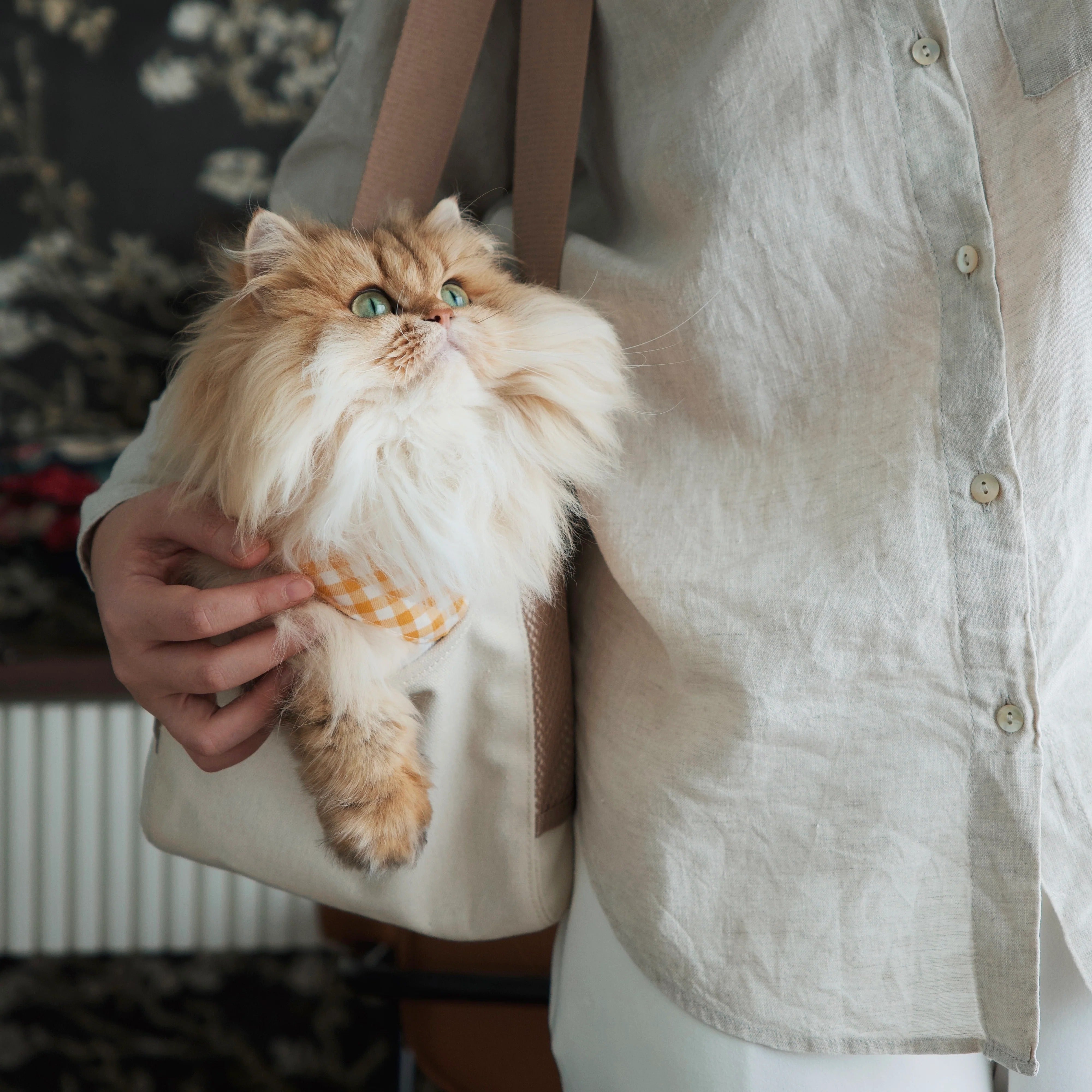 Lambwolf Collective - Subway Pet Carrier