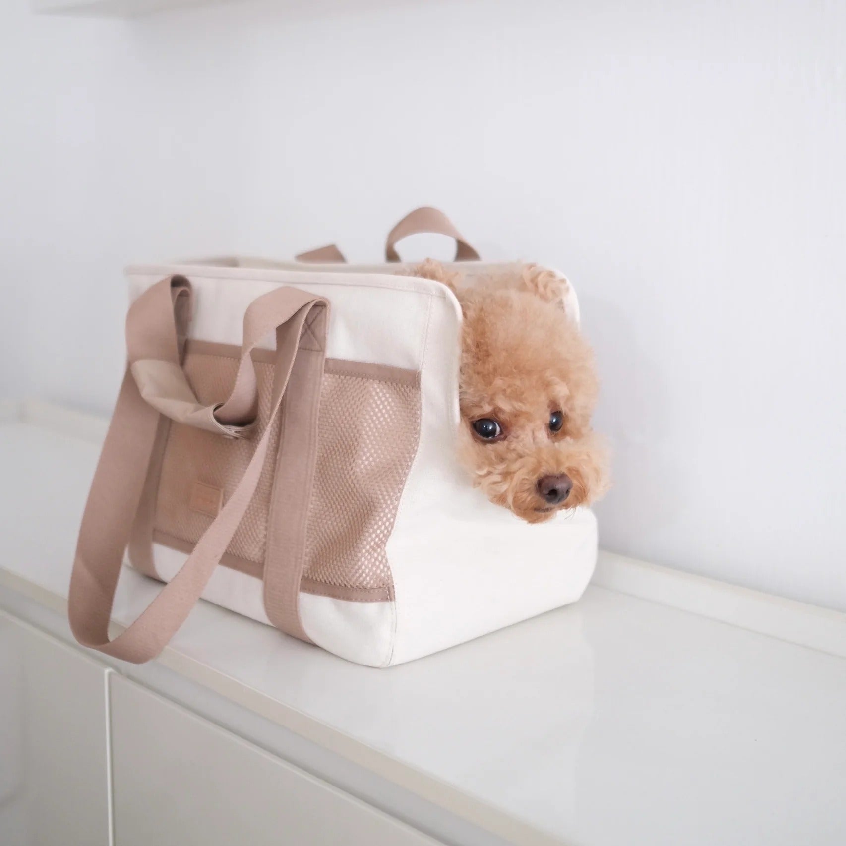 Lambwolf Collective - Subway Pet Carrier
