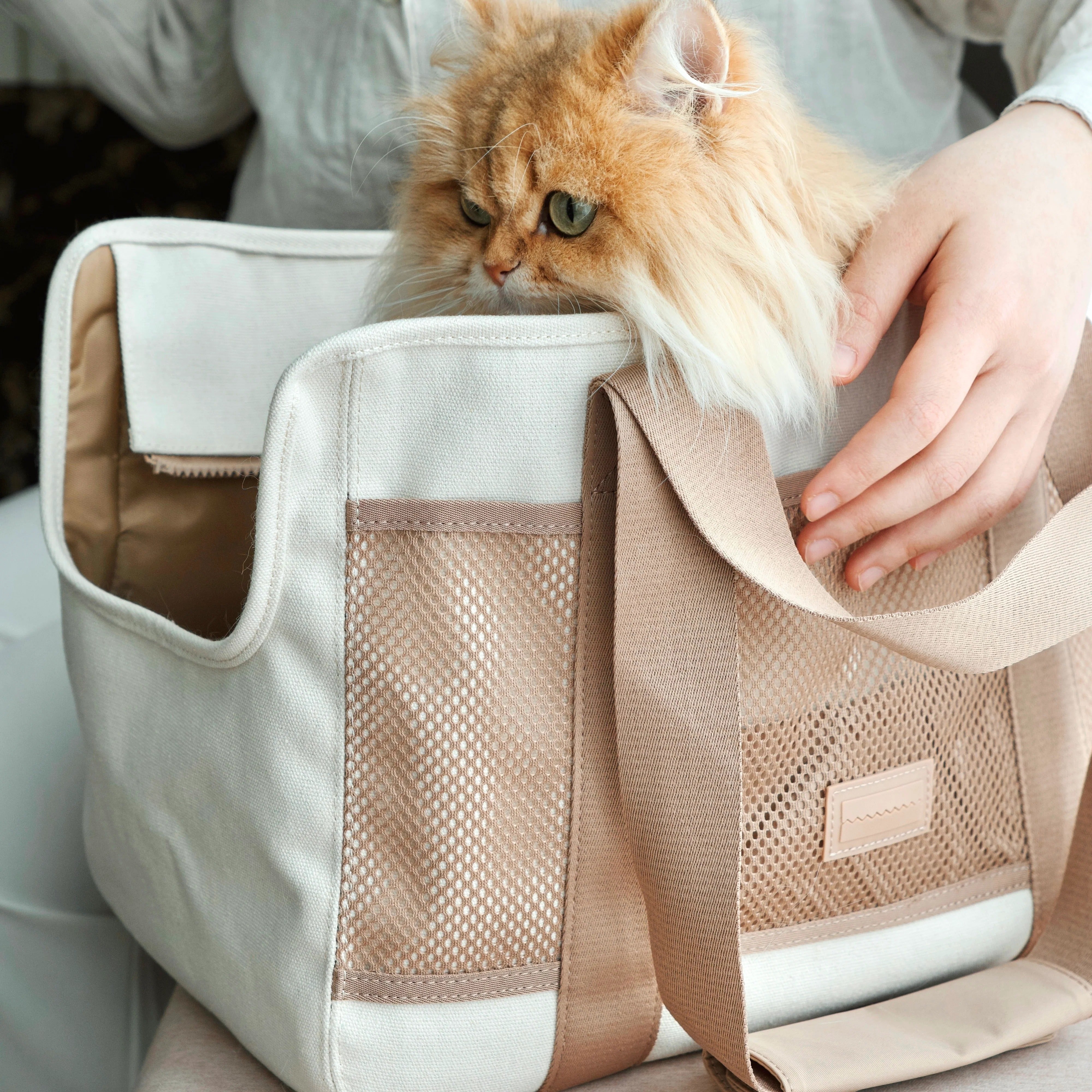 Lambwolf Collective - Subway Pet Carrier