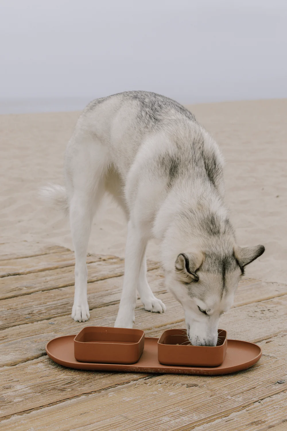 Maxbone Square Bowls & Mat Set