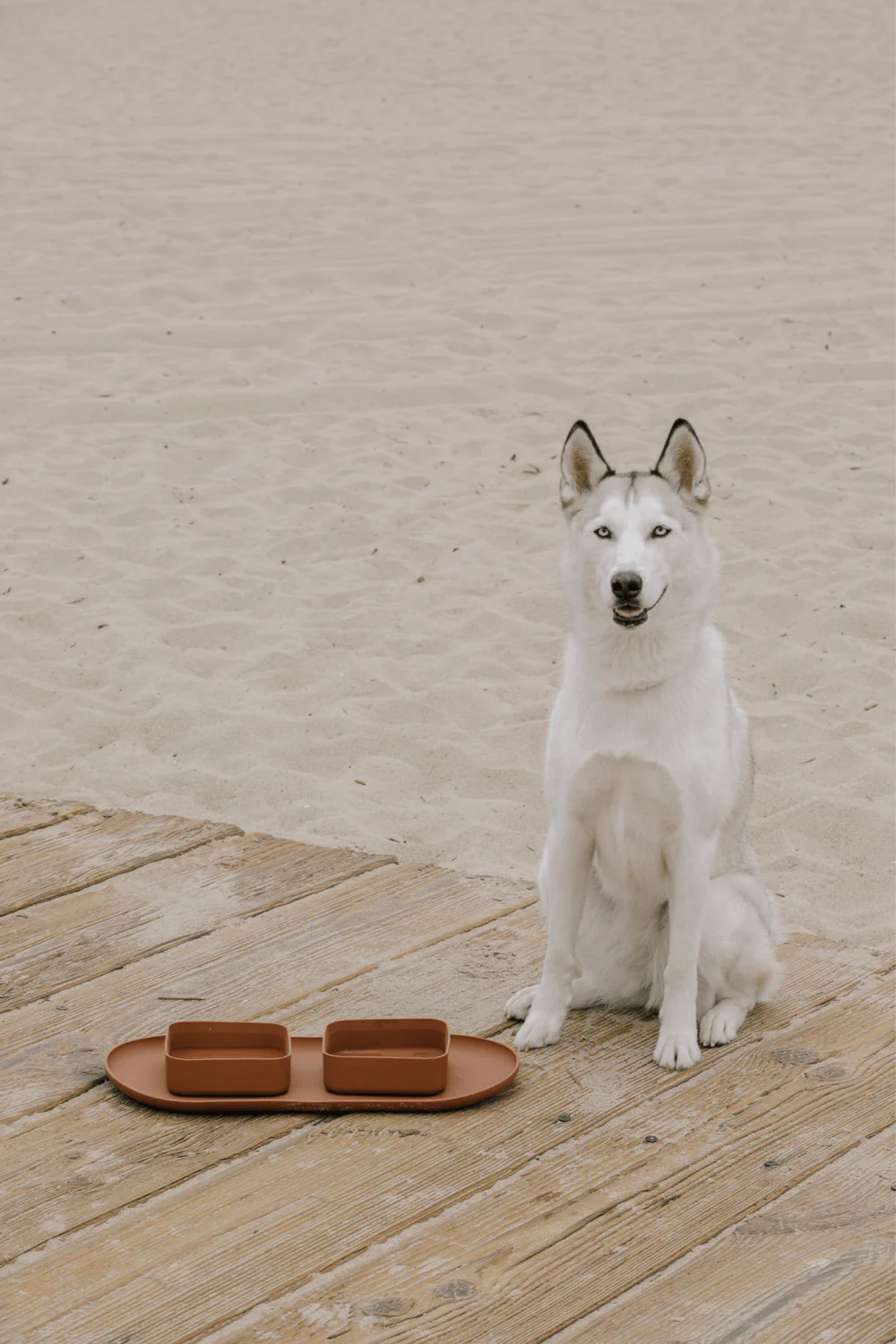 Maxbone Square Bowls & Mat Set