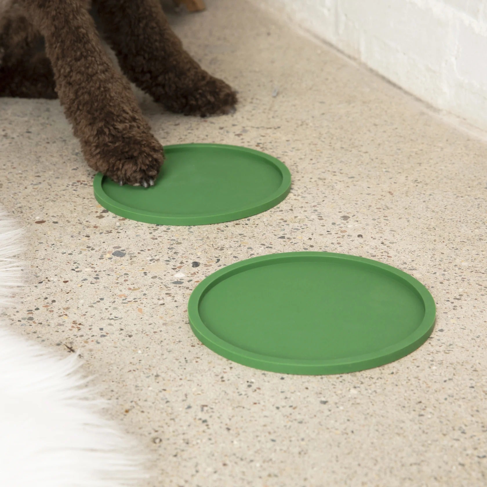 Waggo Habit Circle Dog Placemat- Set Of 2