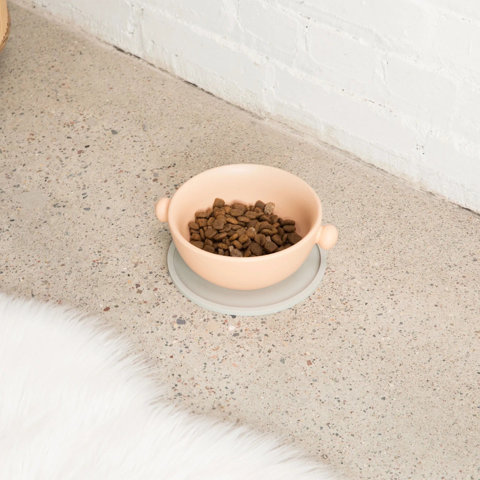 Waggo Habit Circle Dog Placemat- Set Of 2