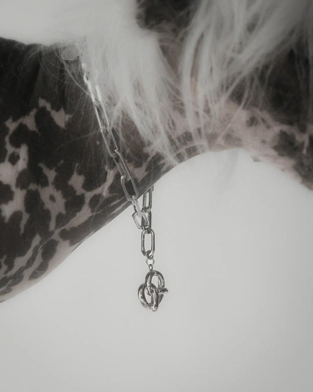 The Animals Pretzel Charme