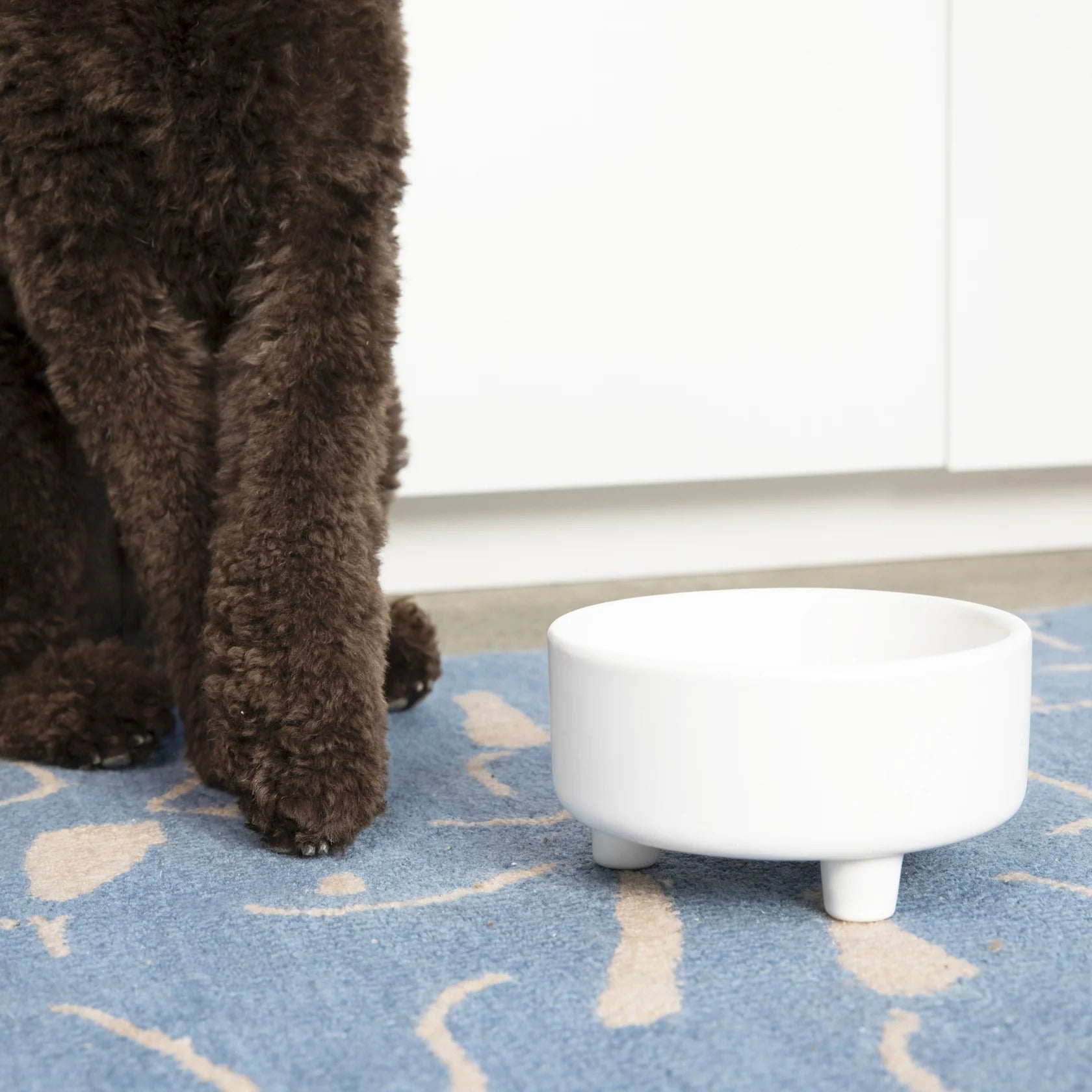 Waggo Uplift Ceramic Dog Bowl