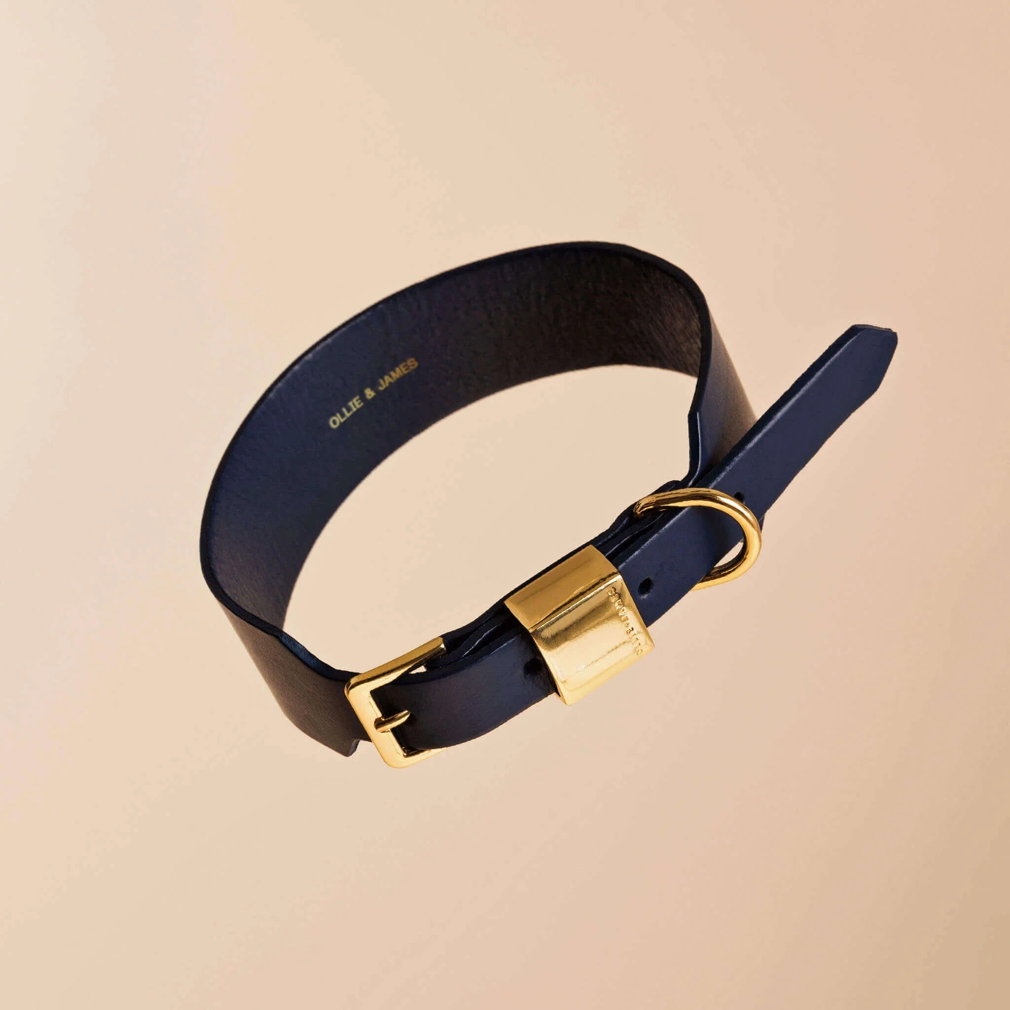 Ollie and James Italian Leather Dog Collar
