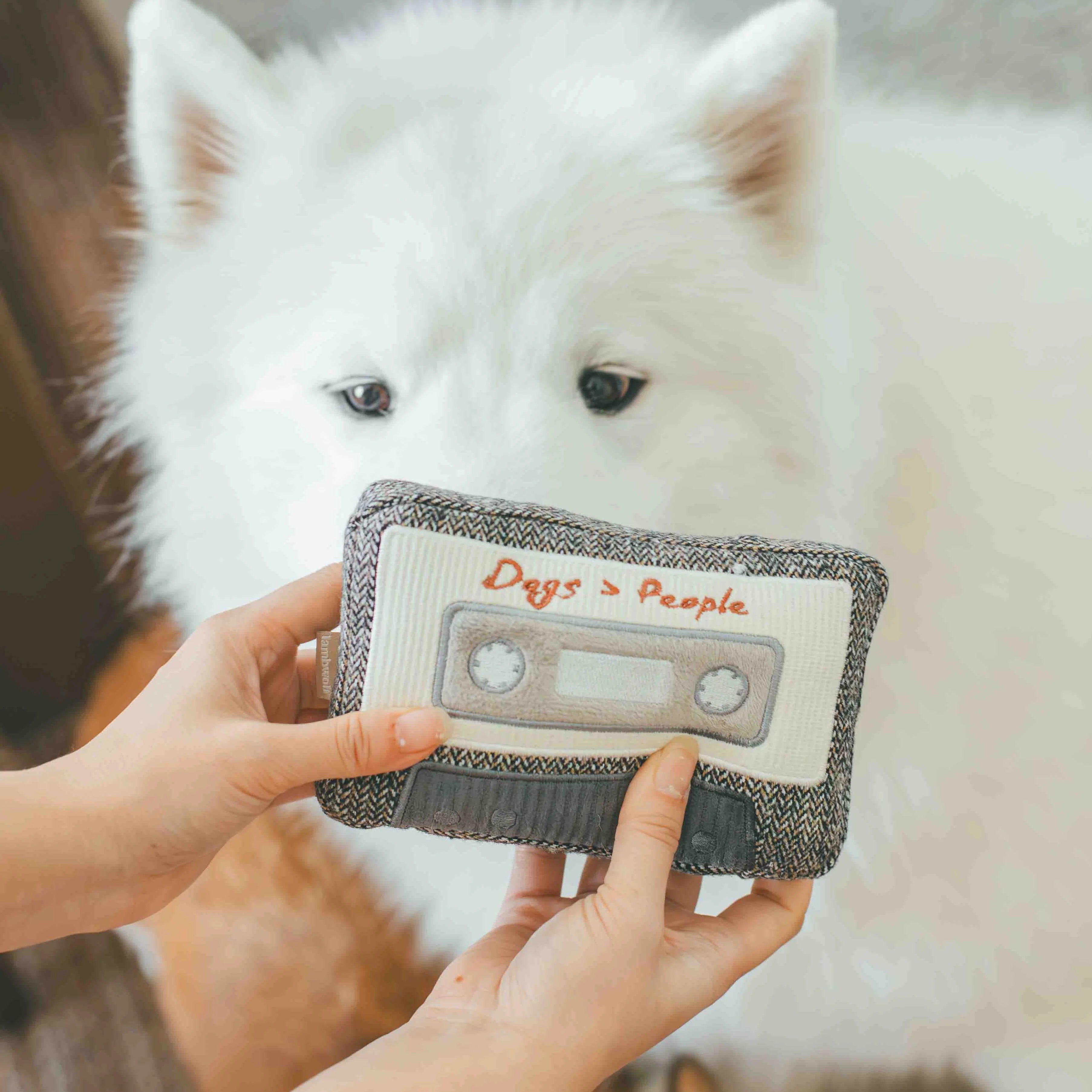 Lambwolf Collective - Cassette