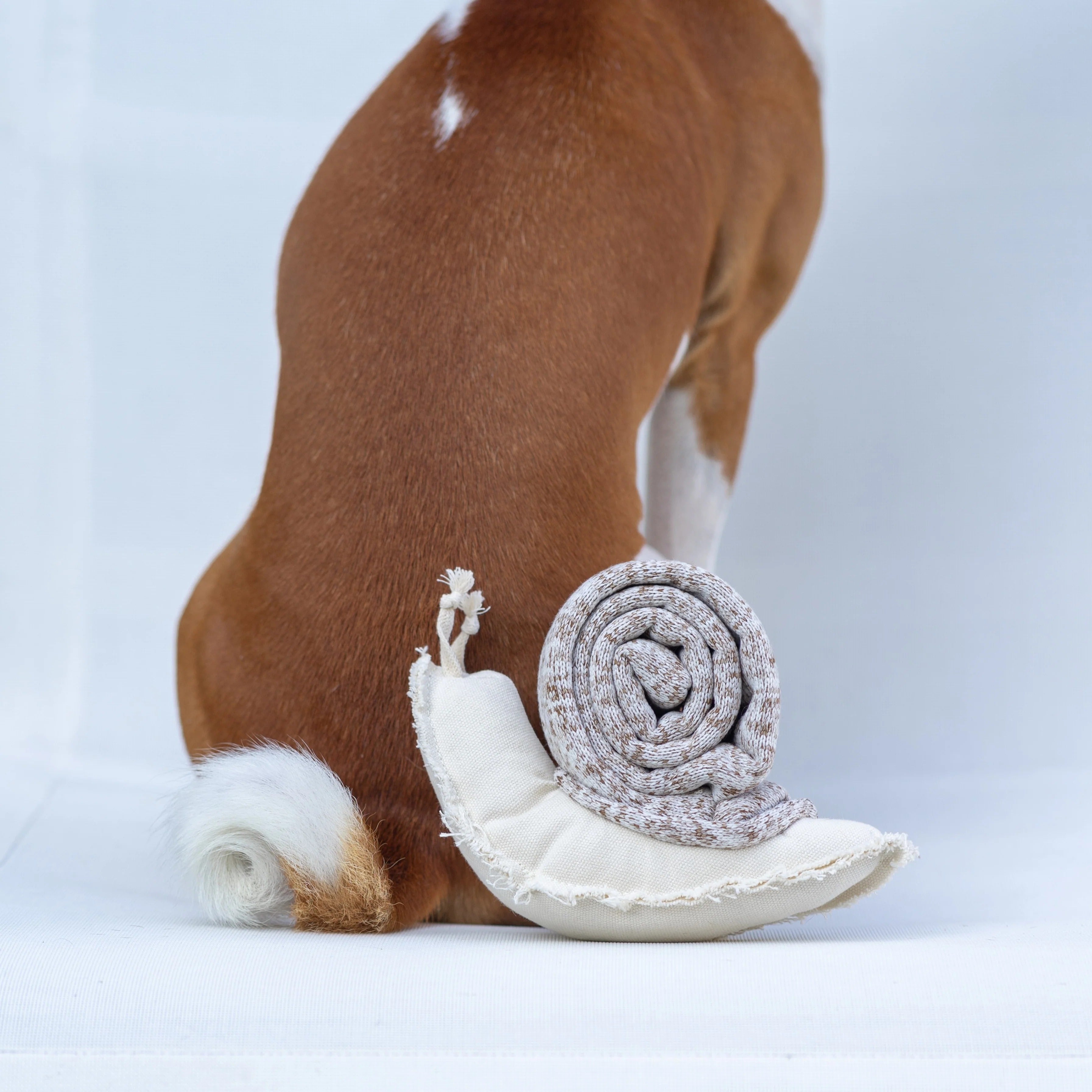 Lambwolf Collective - Snail Enrichment