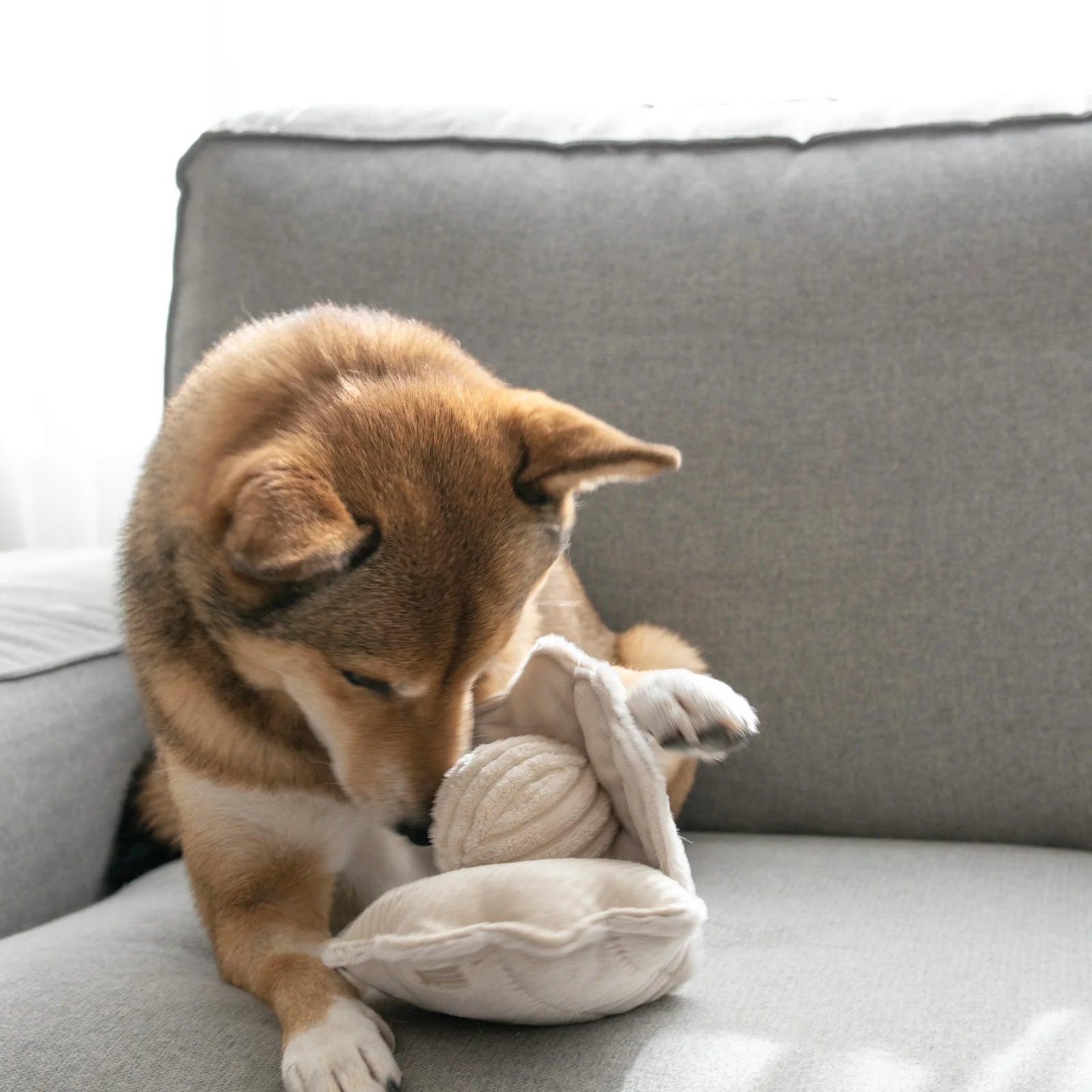 Lambwolf Collective - Oyster