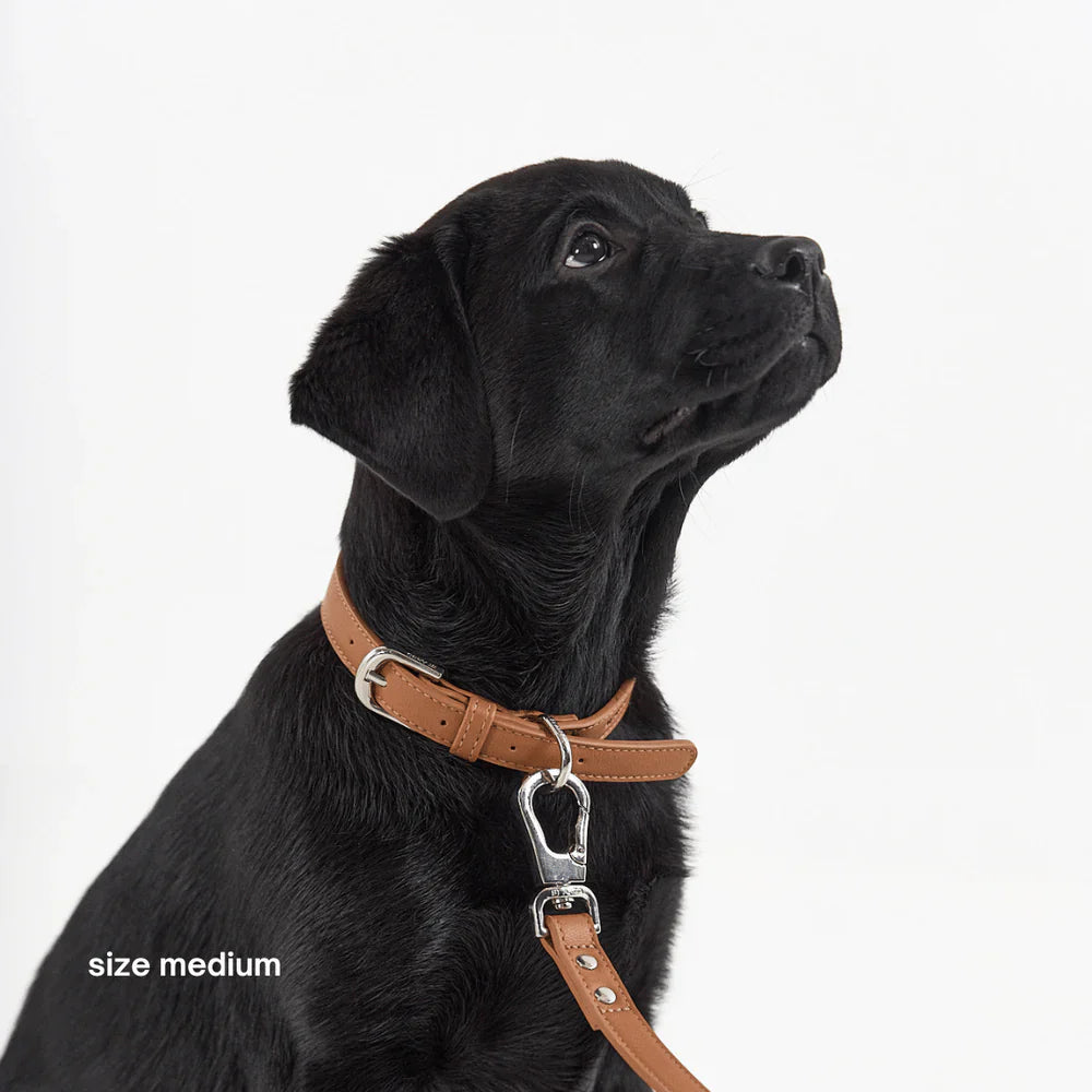 St Argo Collar