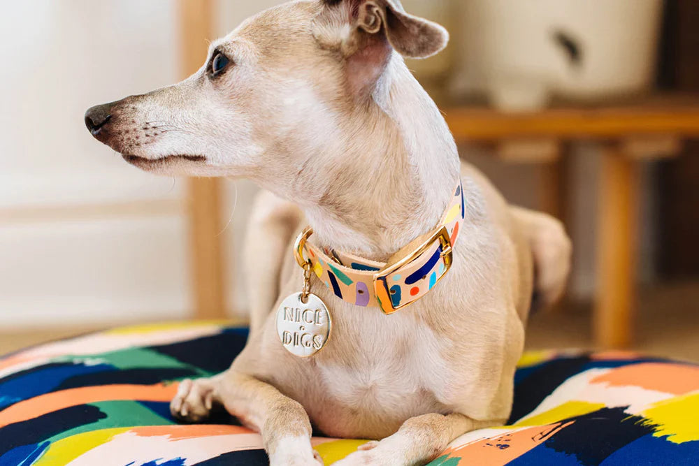 Nice Digs Leather Collar