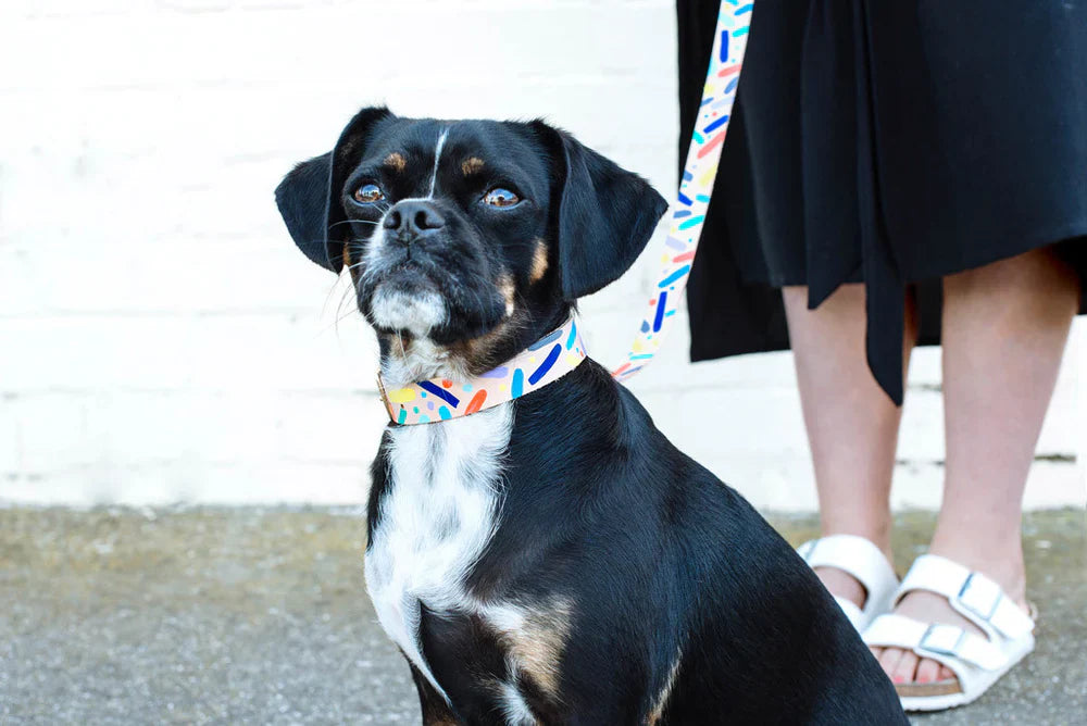 Nice Digs Leather Collar