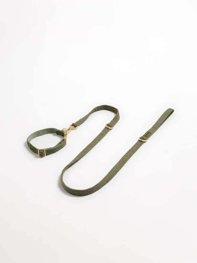 Hommey Boucle Pet Collar