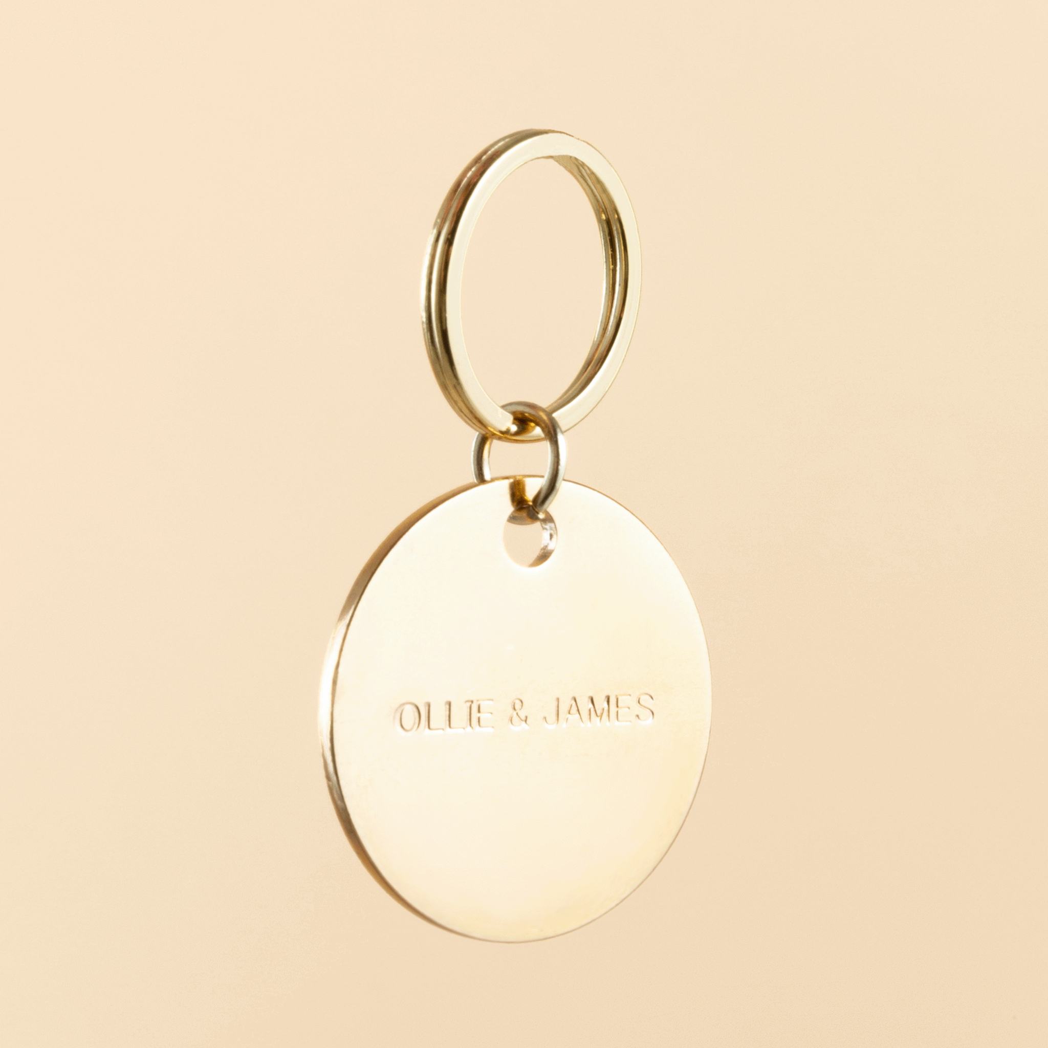 Ollie and James Dog ID Tag