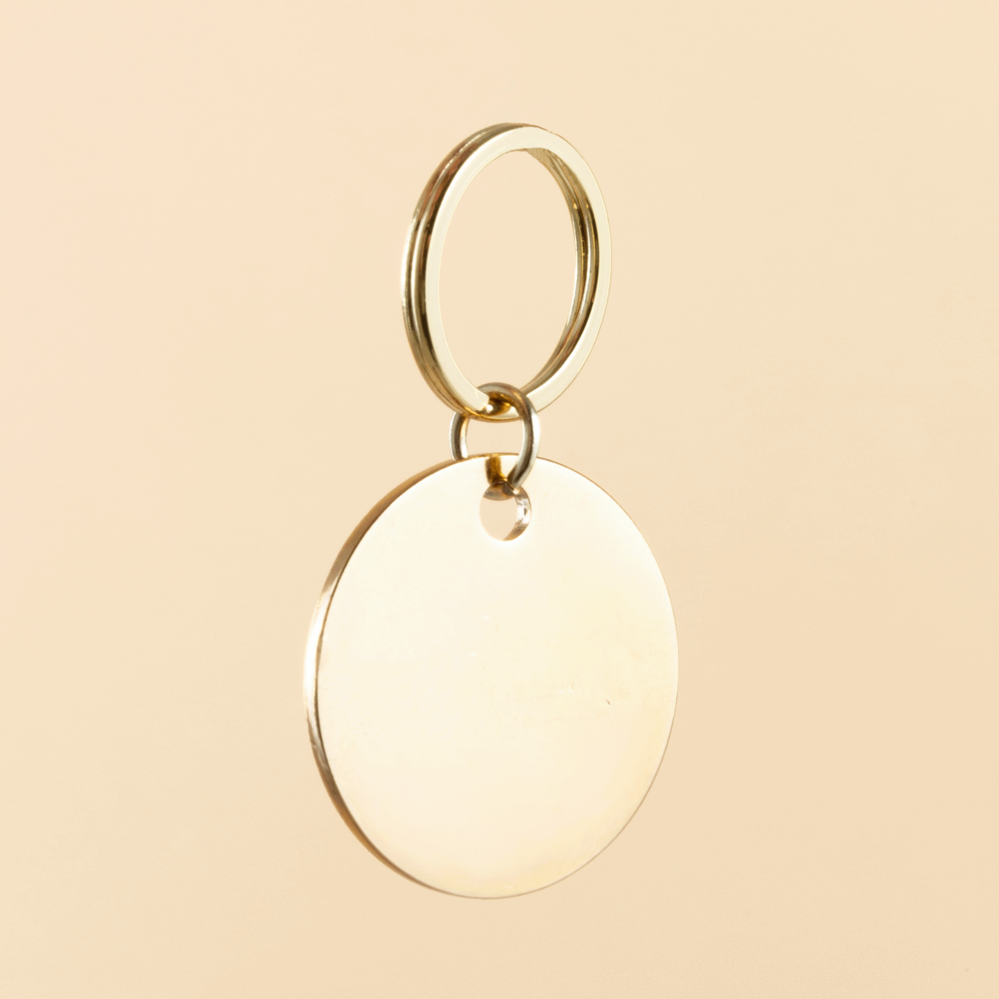 Ollie and James Dog ID Tag