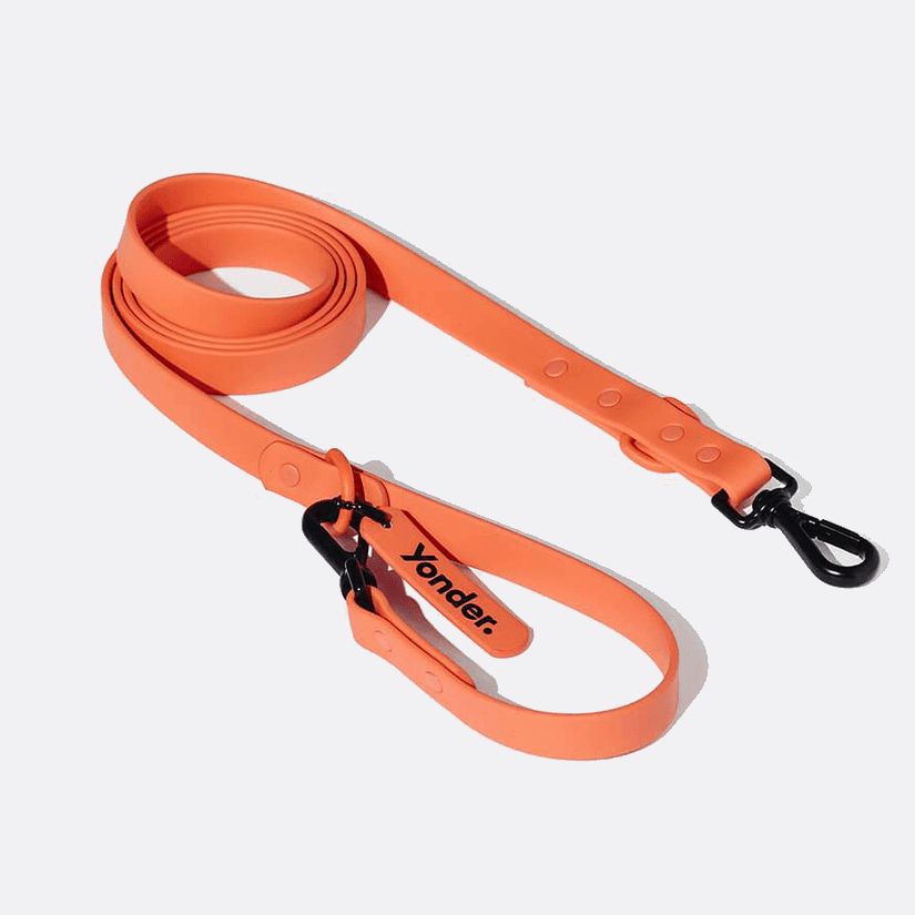 Yonder Lead