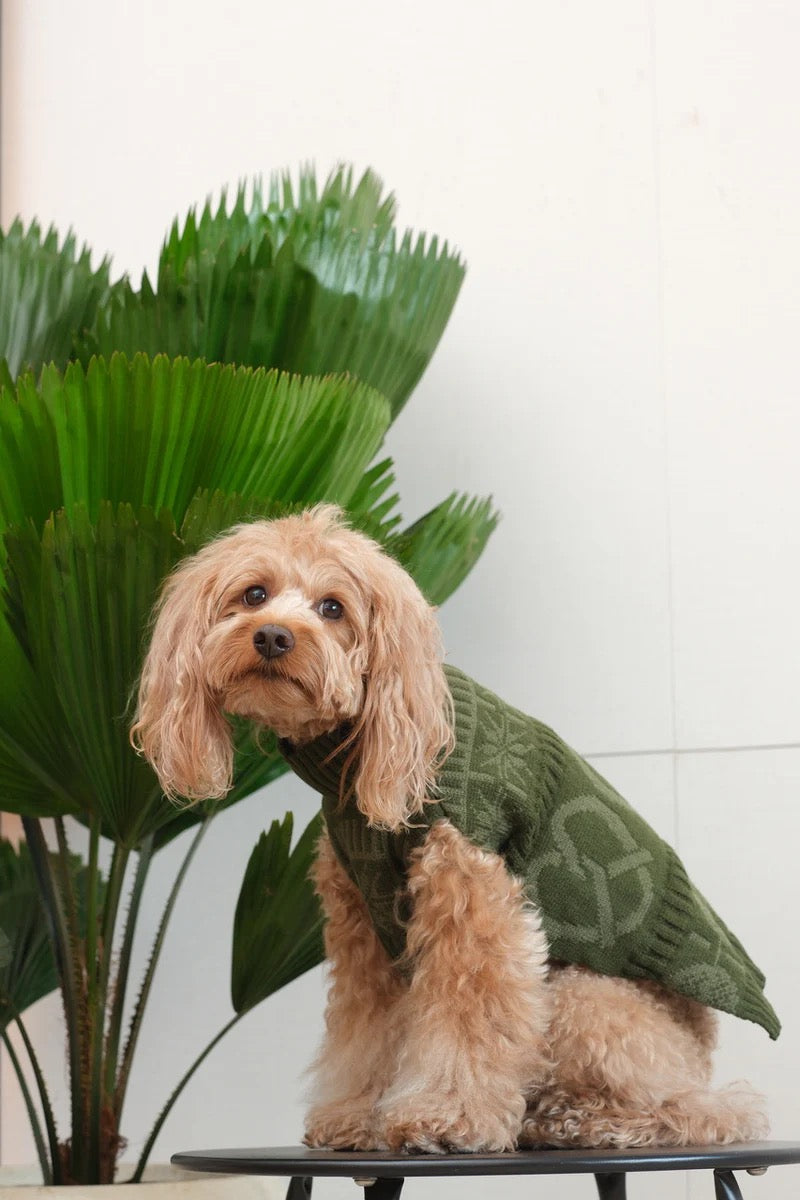 Pehom Pretzel Pet Sweater