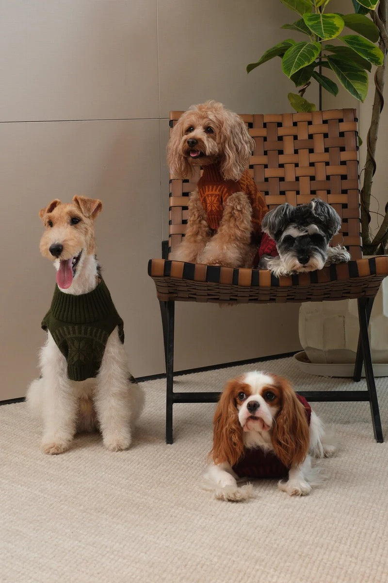 Pehom Pretzel Pet Sweater