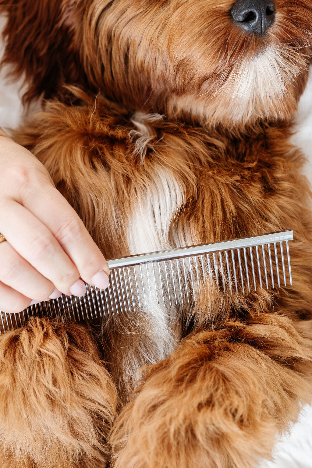 Pupwell- The Everyday Comb