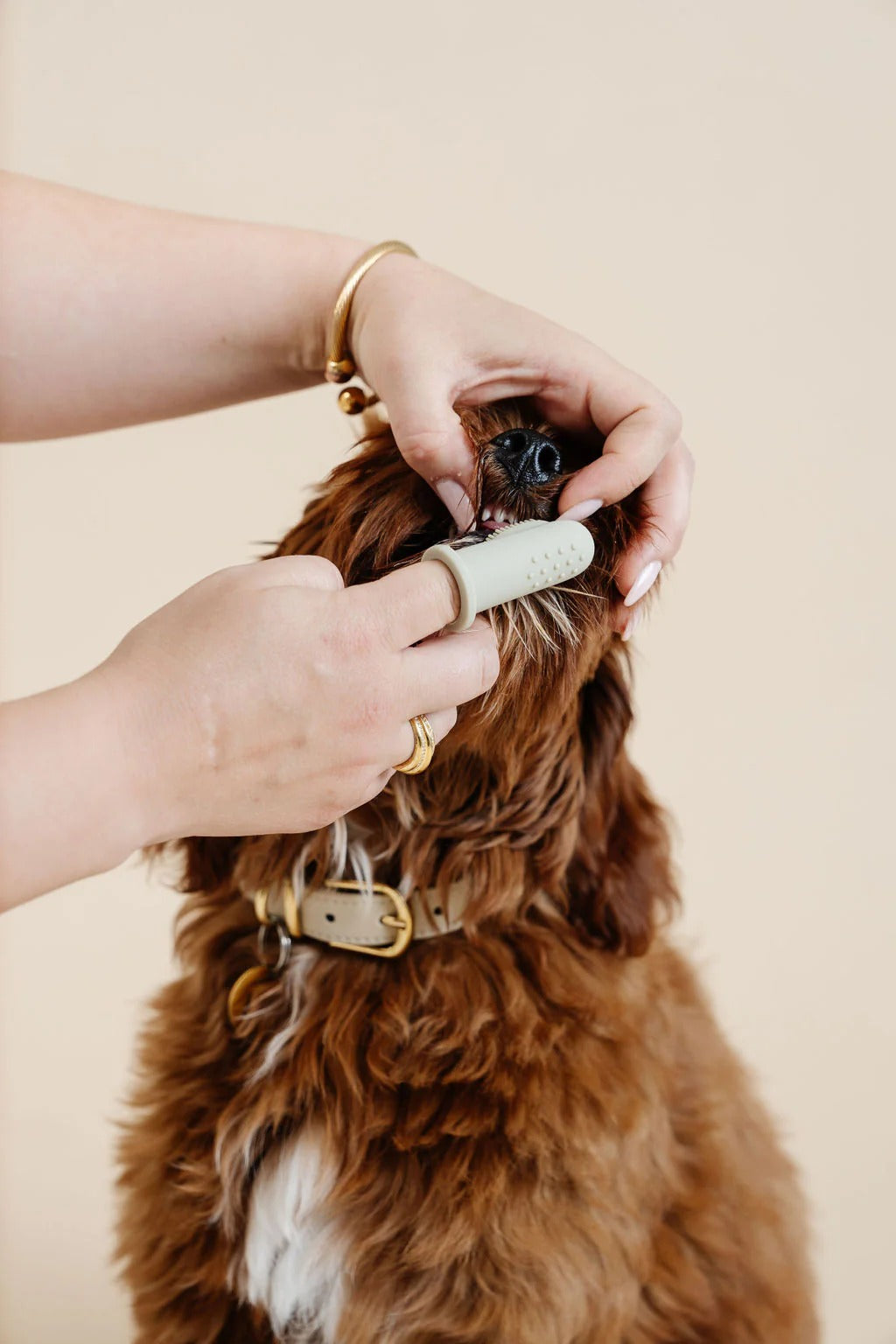 Pupwell Puppy Breath Tooth Brush