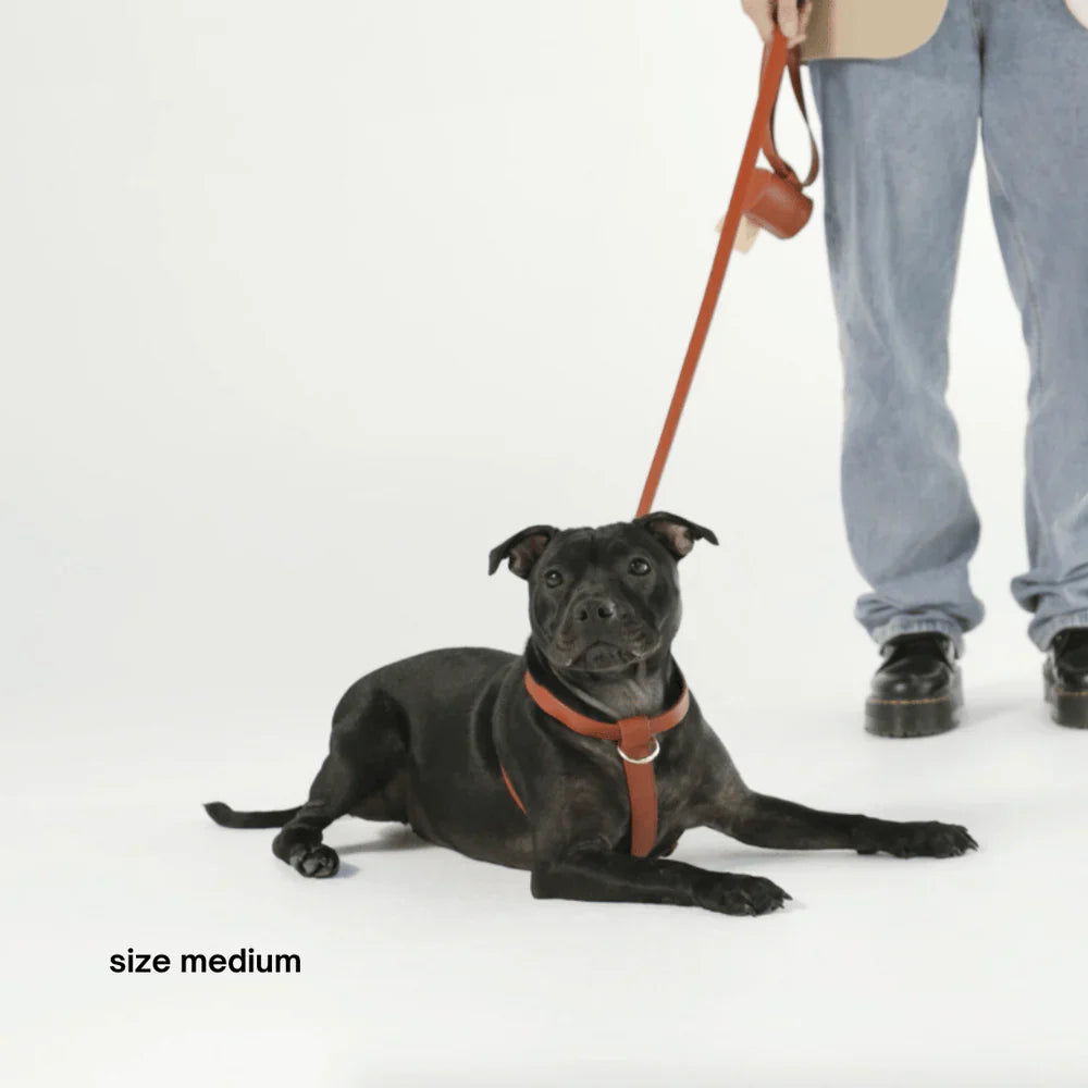 St Argo Harness