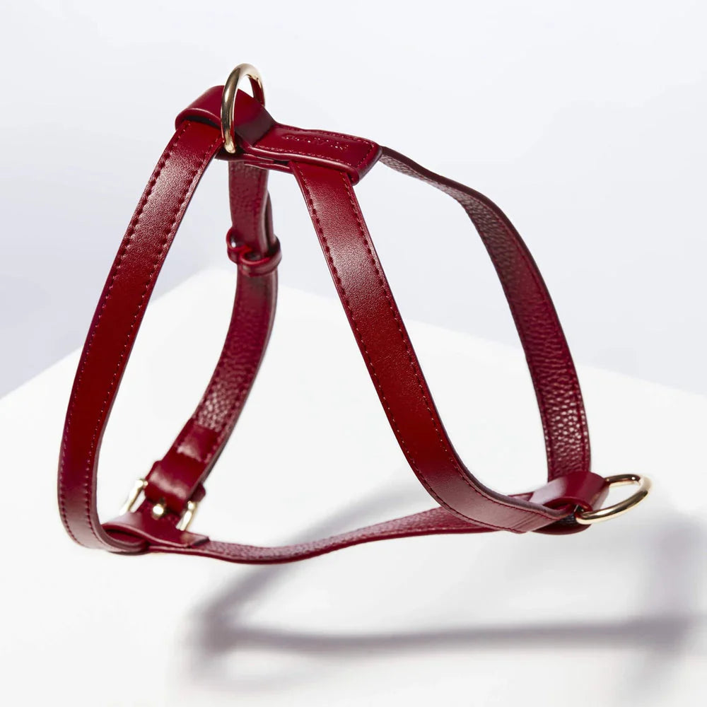 St Argo Harness