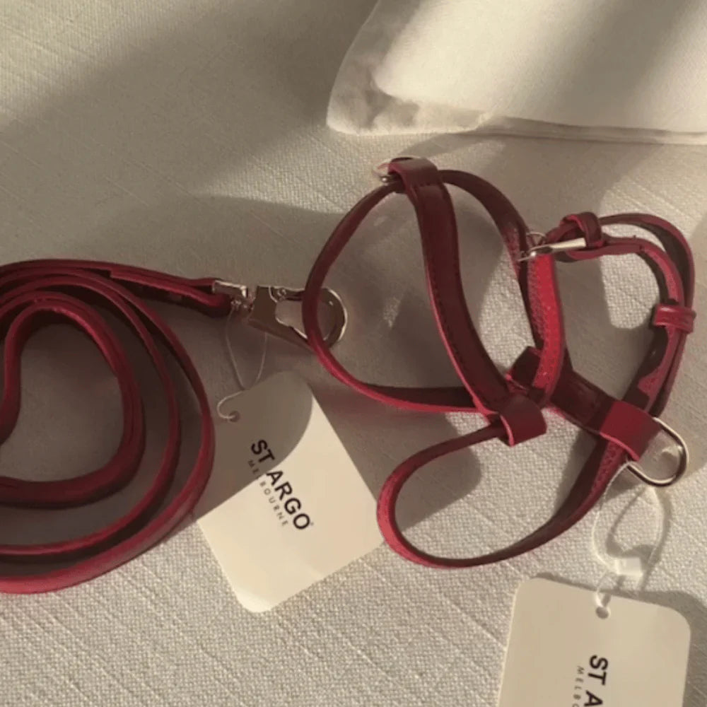 St Argo Harness