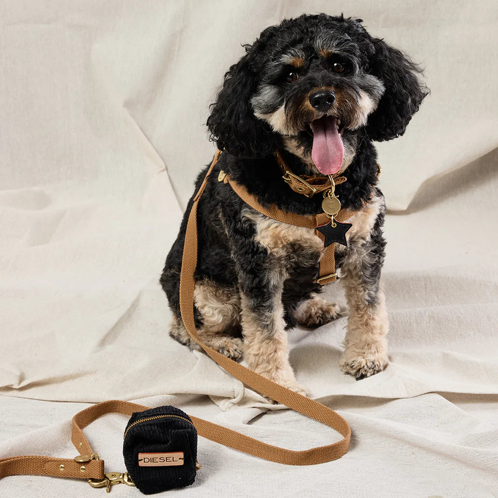Sebastian Says Webbing Step In Harness