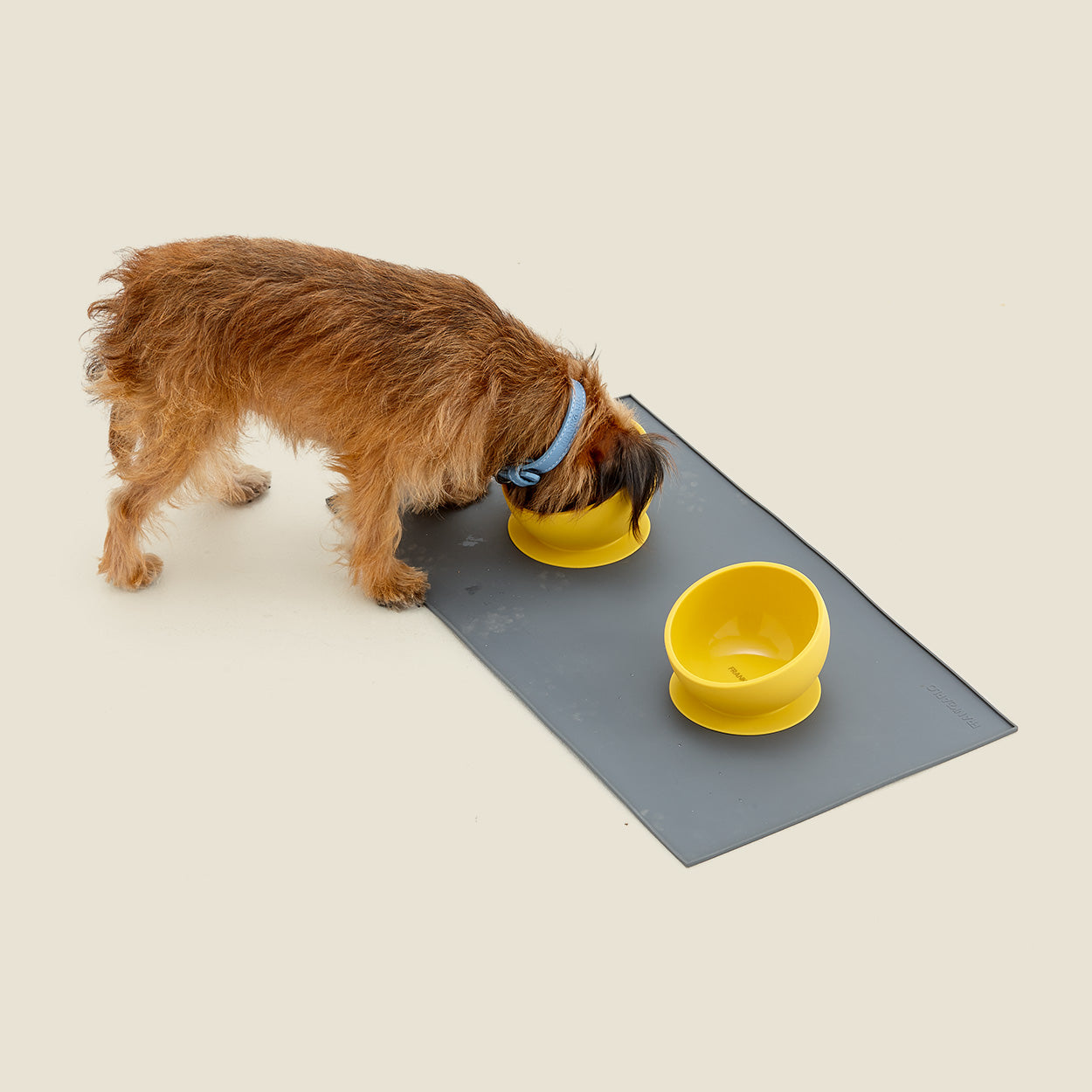 Frank and Arlo Silicone Mats