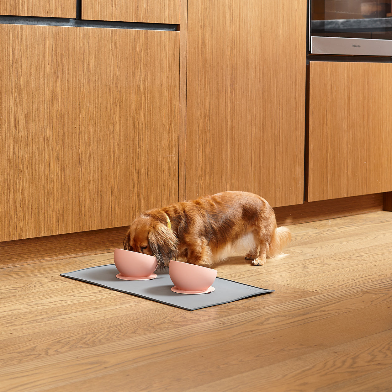 Frank and Arlo Silicone Bowls