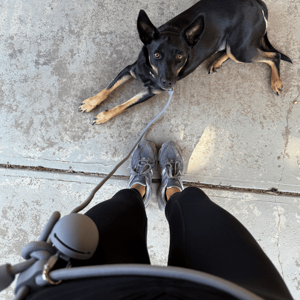 St Argo Hands-Free Lead