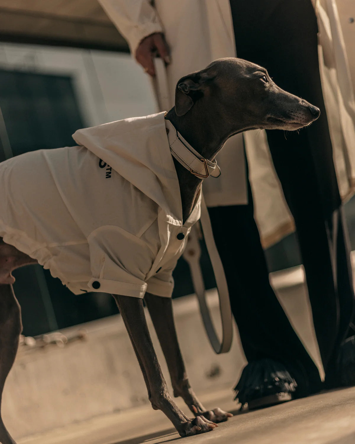 The Animals Logo Light Raincoat