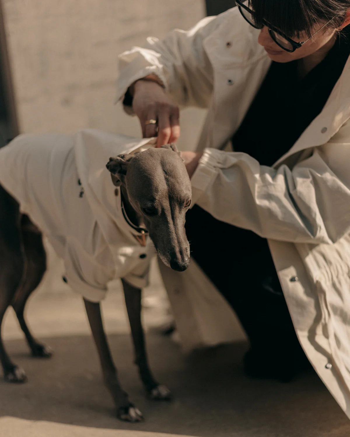The Animals Logo Light Raincoat