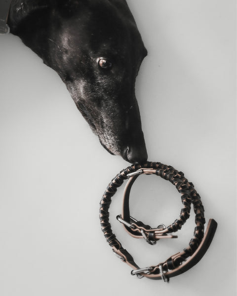 The Animals Roley Collar