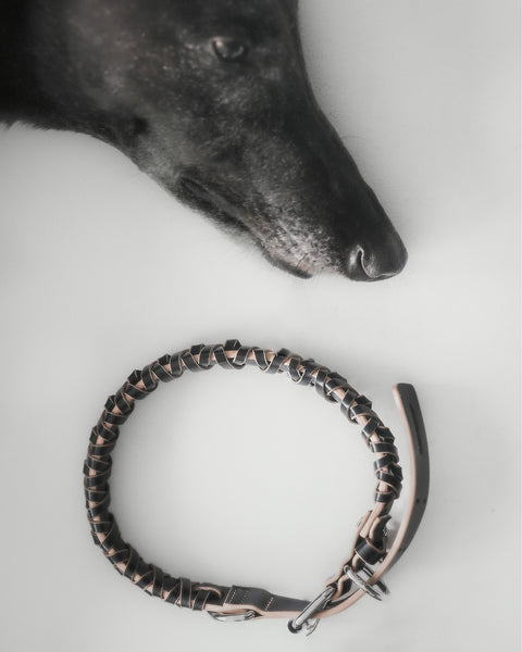 The Animals Roley Collar