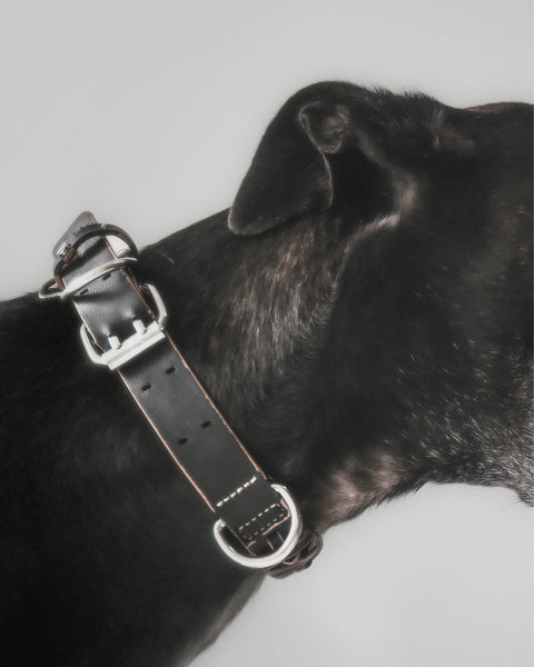 The Animals Roley Collar