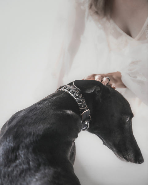 The Animals Roley Collar