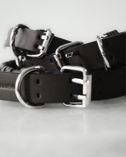 The Animals Roley Collar