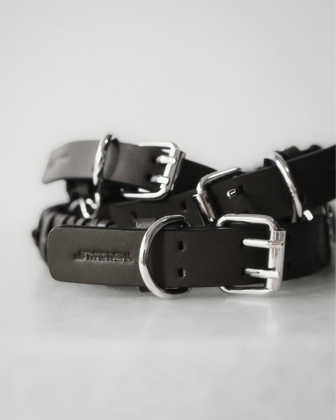 The Animals Roley Collar