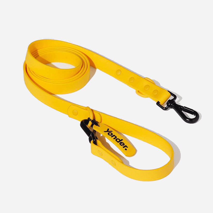 Yonder Lead