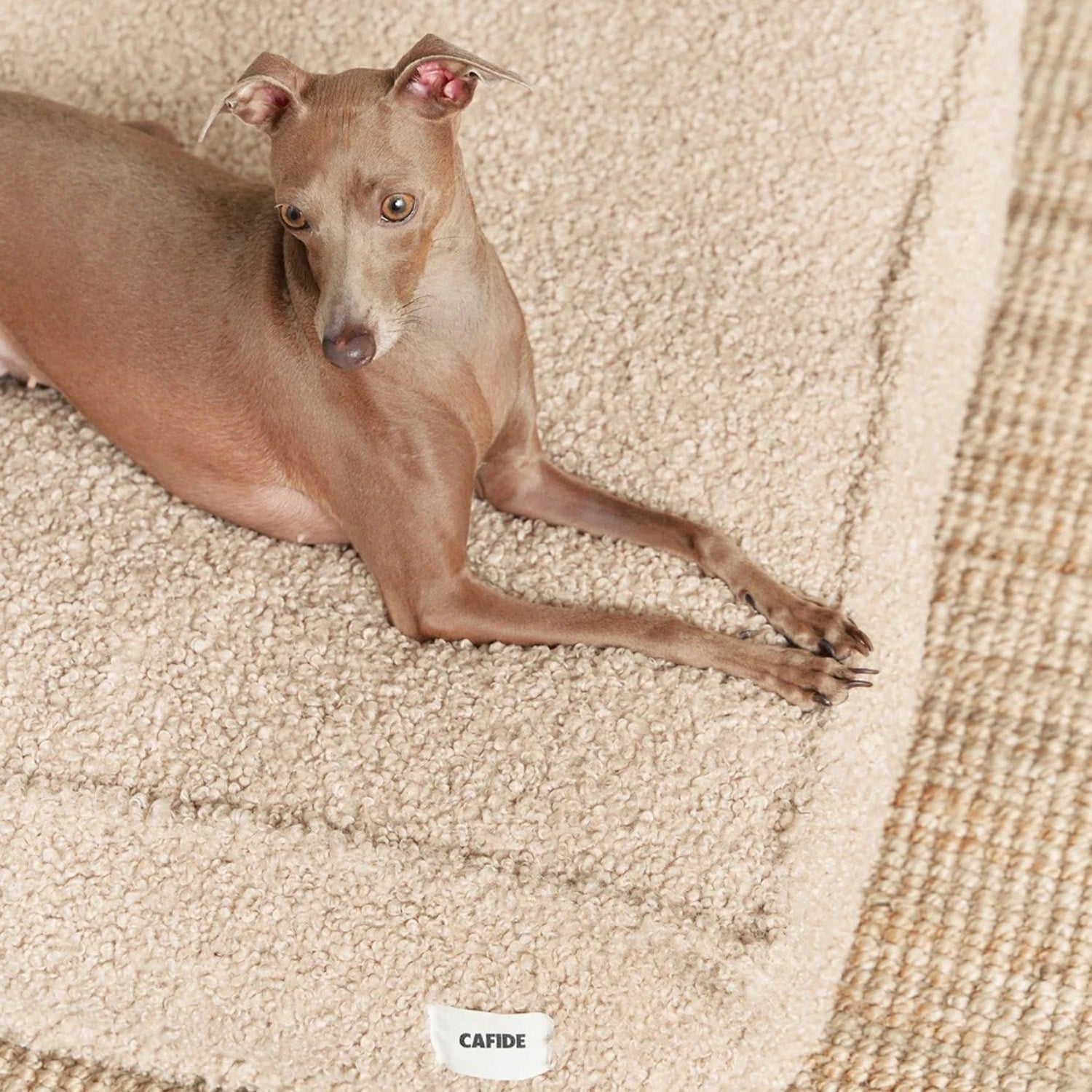 Cafide Caudra Fleece Bed
