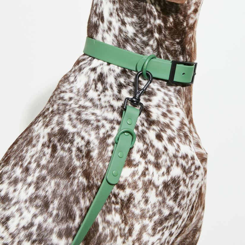 Yonder Collar