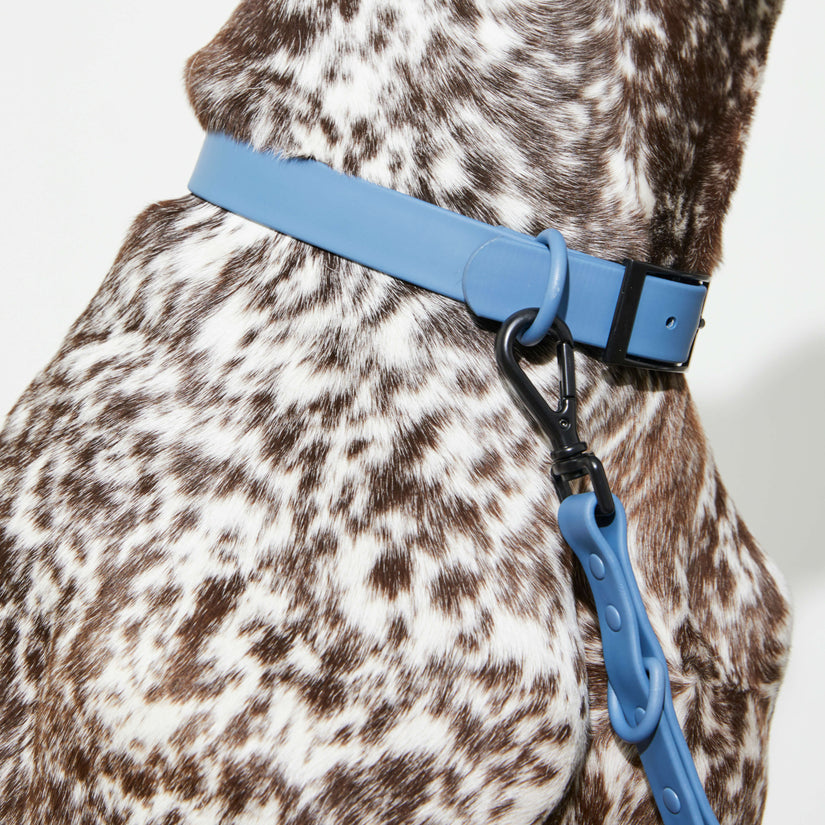 Yonder Collar