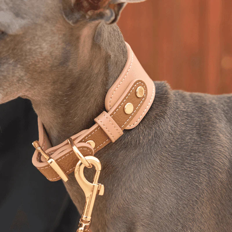 Bondir Leather Collar