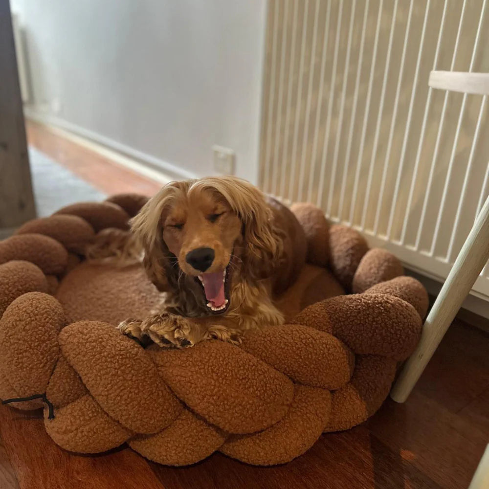 The Hersh Bed