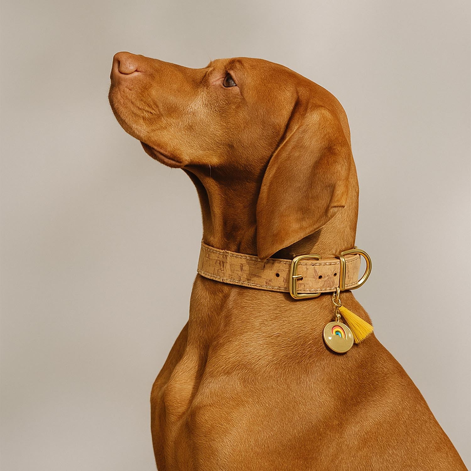 Cockiet Corky Collar